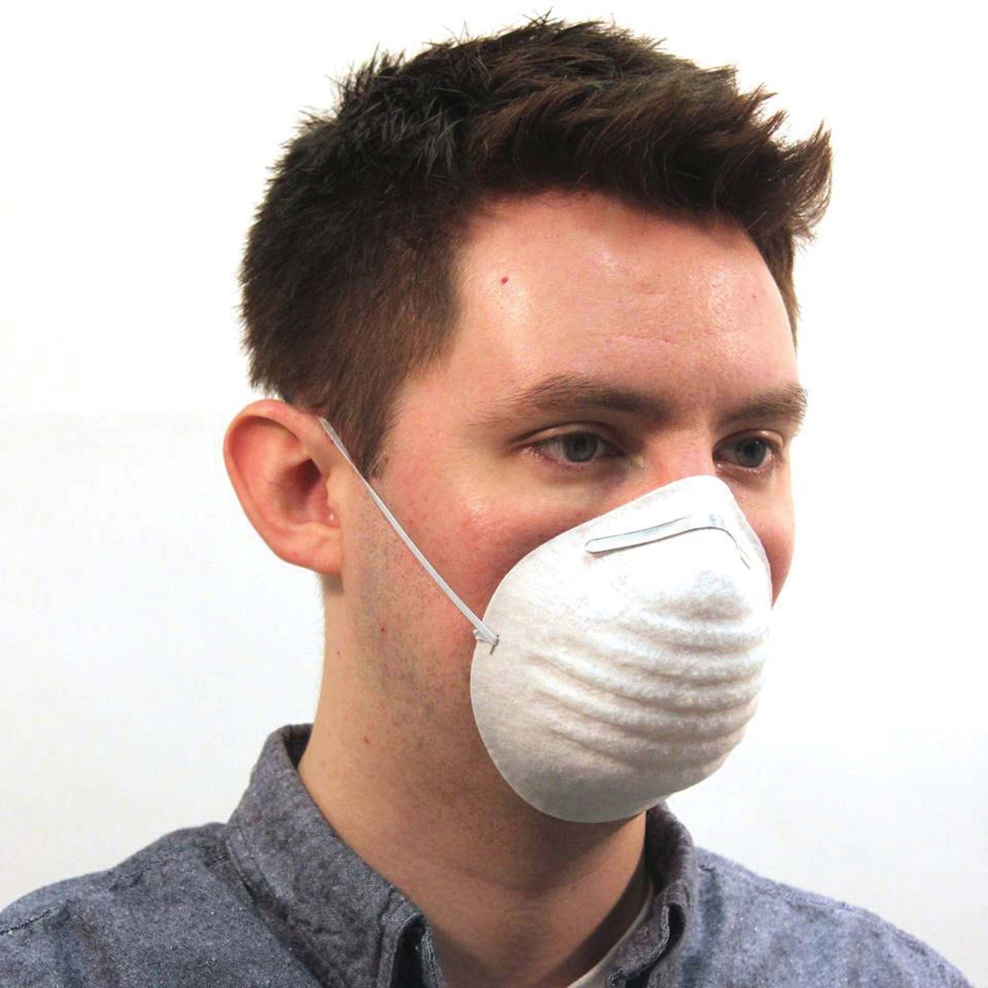 Image of ProGuard Disposable Nontoxic Dust Mask